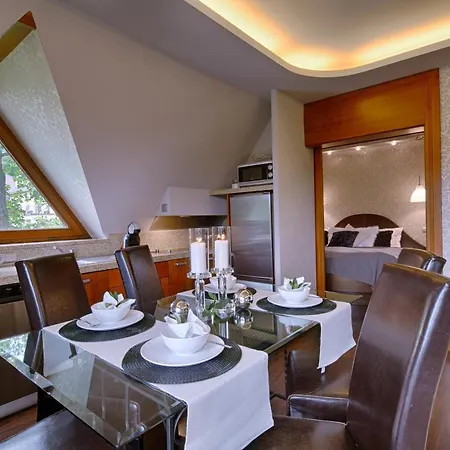 Apartament Panorama Tatr Z Widokiem I Kominkami *